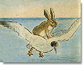 Hare goes flying